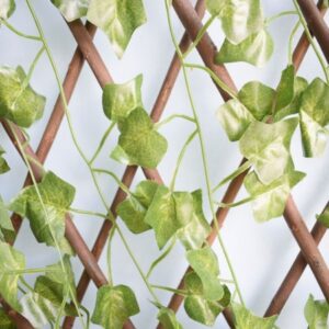 Treliça de Madeira com Folhagem para Muro Verde Permanente